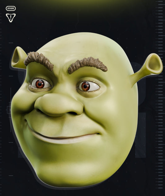 Shrek Helmet
